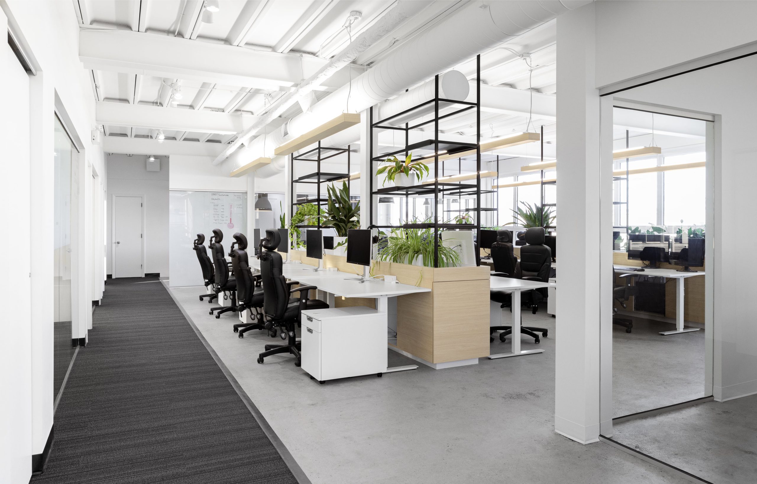 PMP SOLUTIONS modern and warm offices