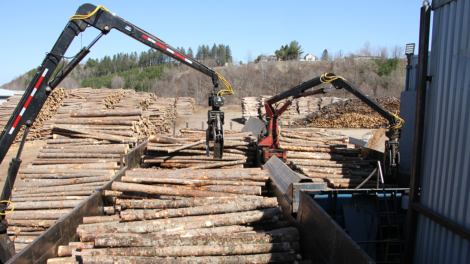 Your log diet constrains sawing